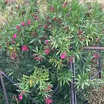 בית אירוח Quinta Do Eco וילה דה ריי