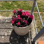 Quinta Do Eco בית אירוח *