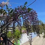 בית אירוח Quinta Do Eco *