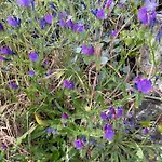 בית אירוח Quinta Do Eco וילה דה ריי