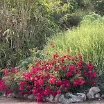 Quinta Do Eco וילה דה ריי
