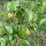 בית אירוח Quinta Do Eco וילה דה ריי