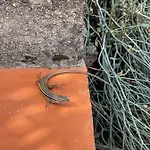 בית אירוח Quinta Do Eco *