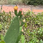 בית אירוח Quinta Do Eco *