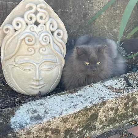 Privat bolig Quinta Do Eco