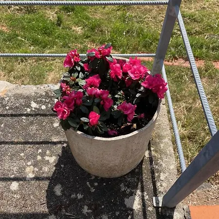 Quinta Do Eco Homestay *