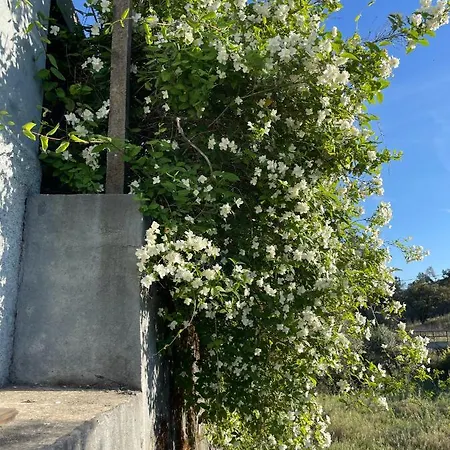 Quinta Do Eco *