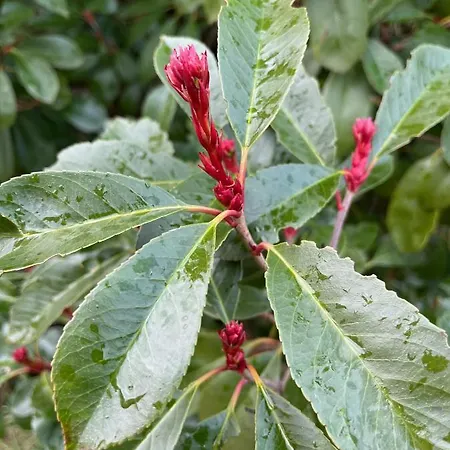 Quinta Do Eco Privat bolig *