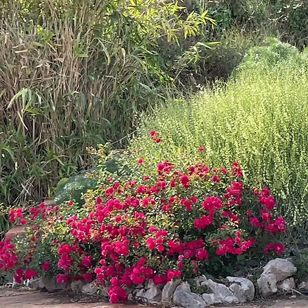 Quinta Do Eco Vila de Rei