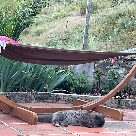 Homestay Quinta Do Eco Vila de Rei