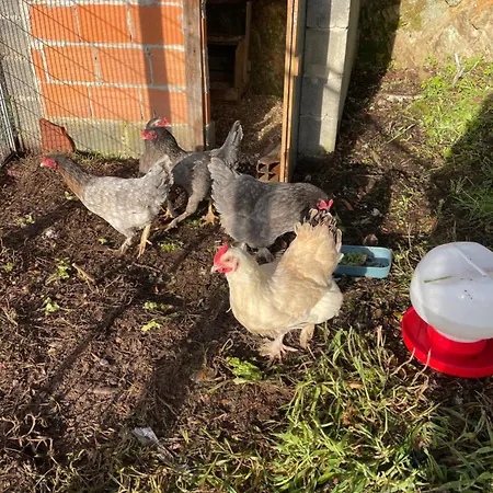 Quinta Do Eco Privat bolig