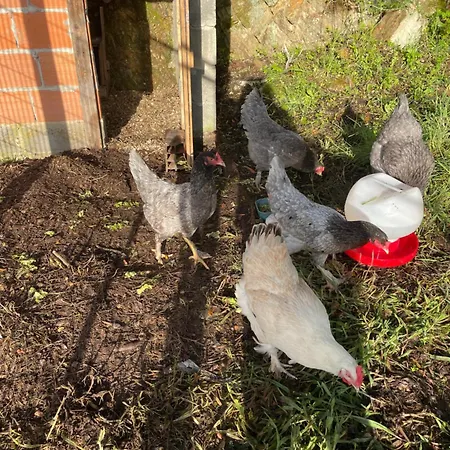 Pansiyon Quinta Do Eco Vila de Rei