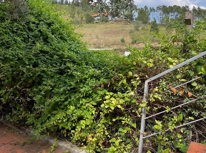 Quinta Do Eco *
