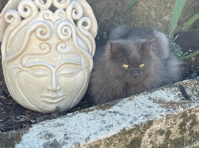 Séjour chez l'habitant Quinta Do Eco