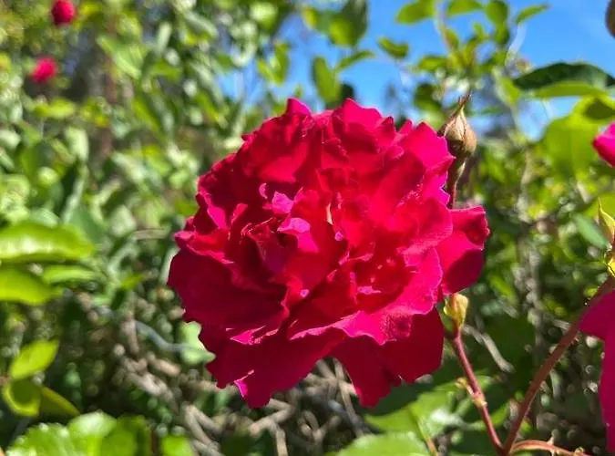 Quinta Do Eco Pansiyon *