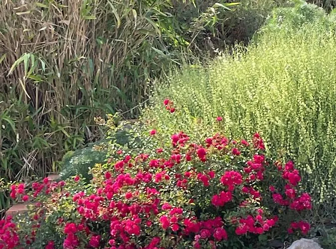 Quinta Do Eco Vila de Rei