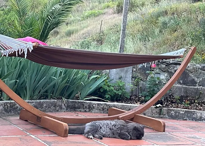 Homestay szállás Quinta Do Eco Vila de Rei