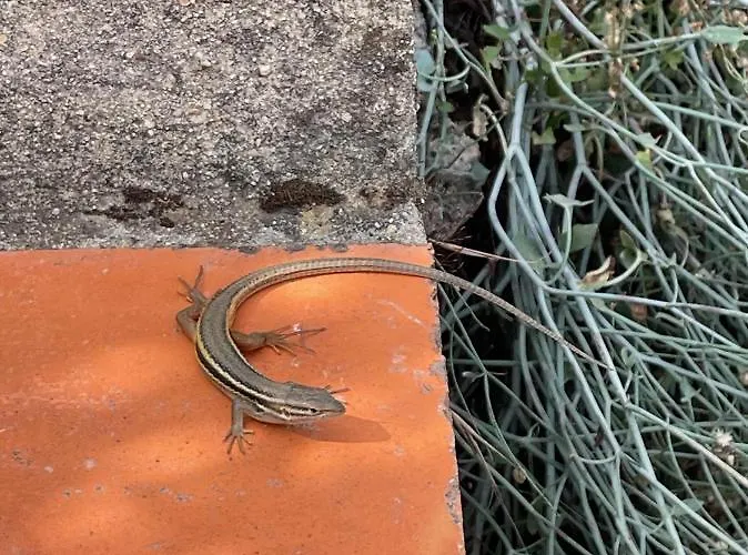 Pansiyon Quinta Do Eco *