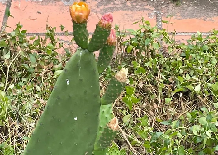 Séjour chez l'habitant Quinta Do Eco *
