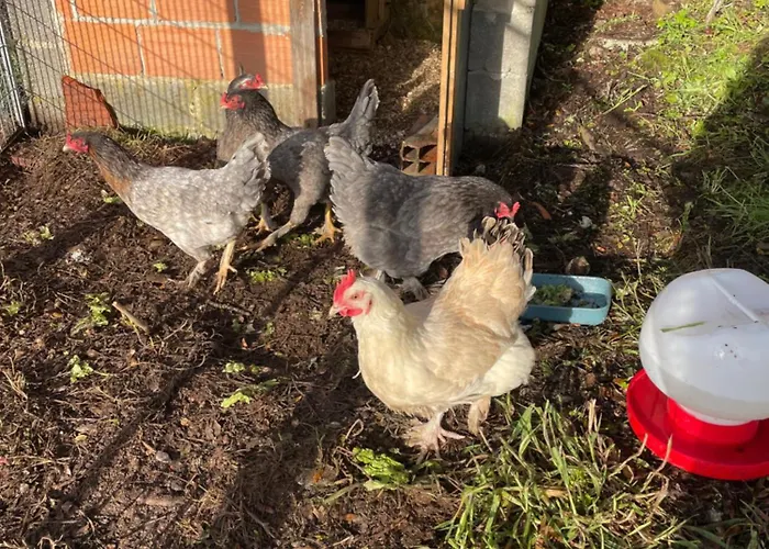 Quinta Do Eco Pansiyon